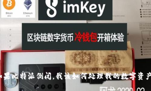 如果比特派倒闭，我该如何处理我的数字资产？