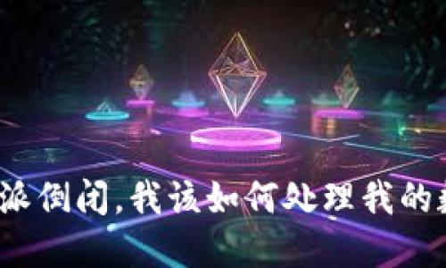 如果比特派倒闭，我该如何处理我的数字资产？