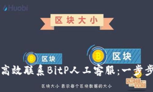 如何高效联系BitP人工客服：一步步指南