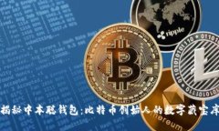 揭秘中本聪钱包：比特币创始人的数字