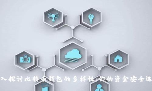 深入探讨比特币钱包的多样性：你的资金安全选择