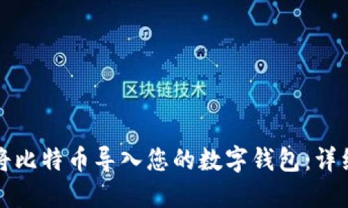 如何安全地将比特币导入您的数字钱包:详细步骤和技巧