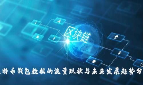 比特币钱包数据的流量现状与未来发展趋势分析
