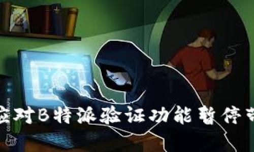 如何高效应对B特派验证功能暂停带来的影响
