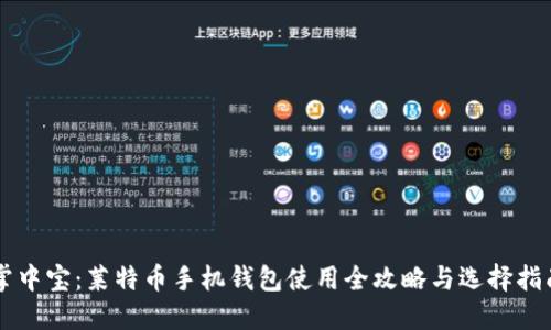掌中宝:莱特币手机钱包使用全攻略与选择指南