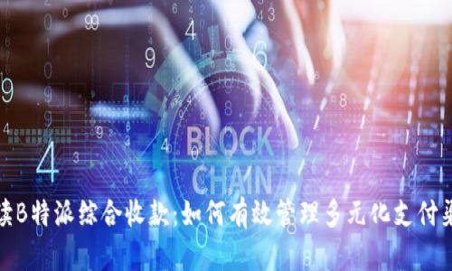 解读B特派综合收款：如何有效管理多元化支付渠道
