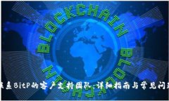 如何联系BitP的客户支持团队：详细指