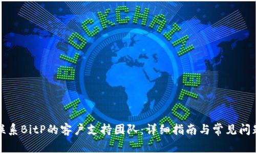 如何联系BitP的客户支持团队：详细指南与常见问题解答