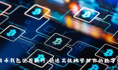 比特币钱包使用技巧：快速高效地管理你的数字资产