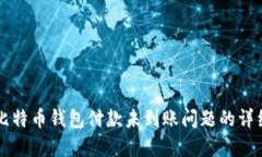 解决比特币钱包付款未到账问题的详细