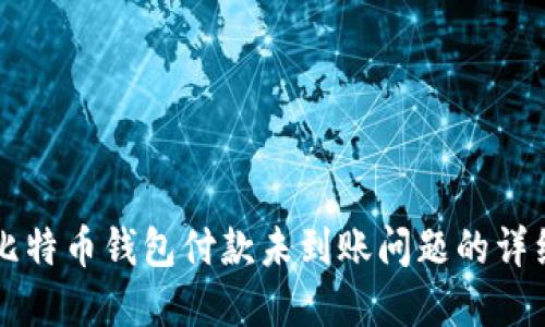 解决比特币钱包付款未到账问题的详细指南