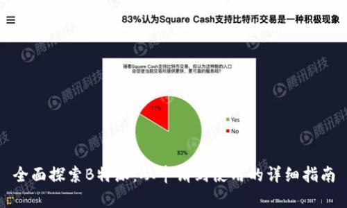 全面探索B特派:从申请到使用的详细指南