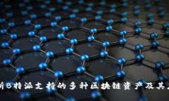 深入解析B特派支持的多种区块链资产