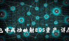 如何在比特派钱包中成功映射EOS资产：