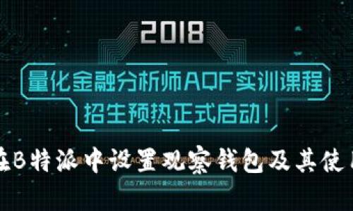 如何在B特派中设置观察钱包及其使用指南