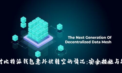 如何应对比特派钱包意外被转空的情况：安全措施与处理指南