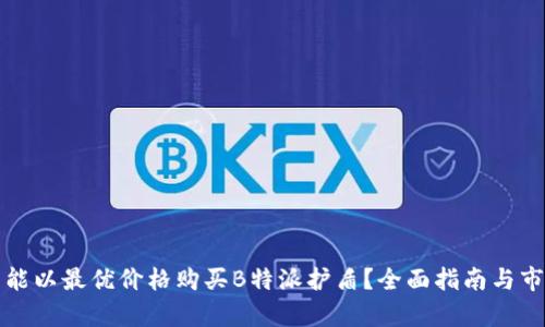 在哪里能以最优价格购买B特派护盾?全面指南与市场分析