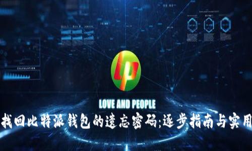 如何找回比特派钱包的遗忘密码:逐步指南与实用技巧