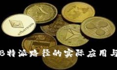 深度解析B特派路径的实际应用与发展