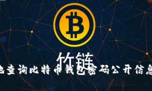 如何安全有效地查询比特币钱包密码公开信息:一个全面指南