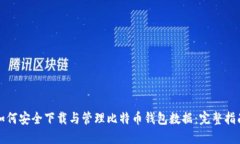 如何安全下载与管理比特币钱包数据：