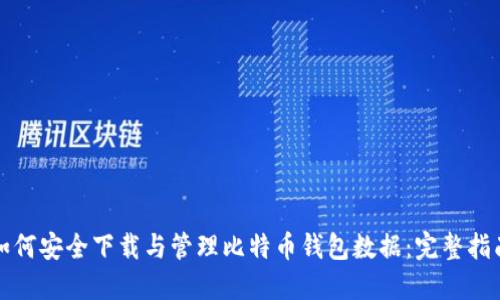 如何安全下载与管理比特币钱包数据:完整指南