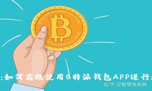 bianwei全方位指南:如何高效使用B特派钱包APP进行数字支付与资产管理