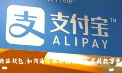 探索B特派钱包：如何通过视频教学轻