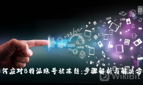 如何应对B特派账号被冻结:步骤解析与解决方案