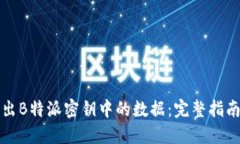 如何高效导出B特派密钥中的数据：完