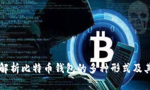 深入解析比特币钱包的多种形式及其特点