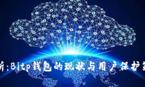 深入分析：Bitp钱包的现状与用户保护策略探讨