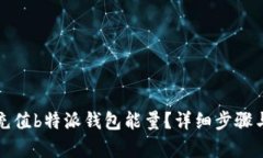 如何高效充值b特派钱包能量？详细步