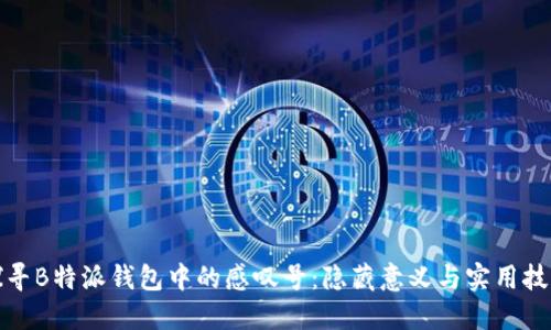 探寻B特派钱包中的感叹号：隐藏意义与实用技巧