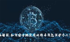 全面解析：如何安全地使用比特币钱包