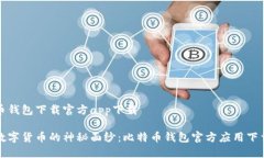 比特币钱包下载官方app下载揭开数字货币的神秘