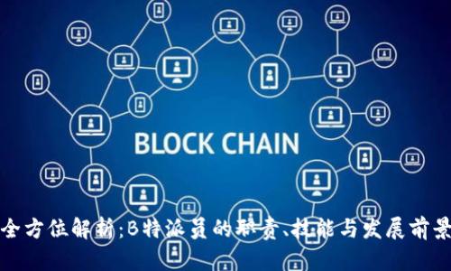 全方位解析：B特派员的职责、技能与发展前景