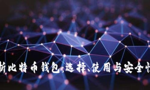 全面解析比特币钱包：选择、使用与安全性全指南