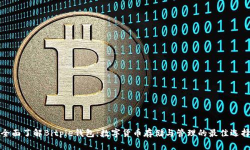 全面了解Bitpie钱包：数字货币存储与管理的最佳选择