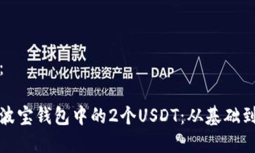 和关键词：

如何理解波宝钱包中的2个USDT：从基础到应用详解