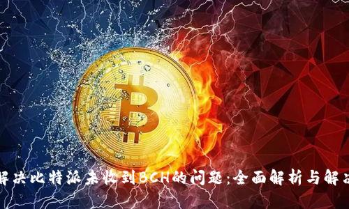 如何解决比特派未收到BCH的问题：全面解析与解决方案