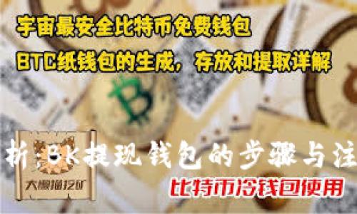 全面解析：BK提现钱包的步骤与注意事项