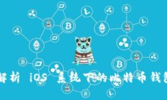 全面解析 iOS 系统下的比特币钱包应用