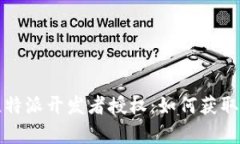 全面解析比特派开发者授权：如何获取与使用指