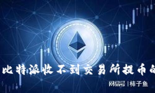 深入解析：为什么比特派收不到交易所提币的原因及解决方案