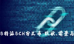 深入了解B特派BCH分叉币：现状、前景与投资策略