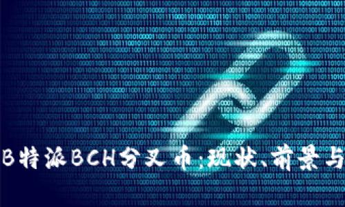 深入了解B特派BCH分叉币：现状、前景与投资策略