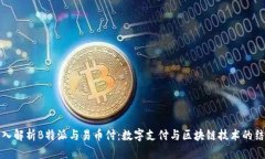 深入解析B特派与易币付：数字支付与区块链技术