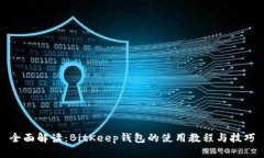 全面解读：BitKeep钱包的使用教程与技巧