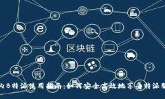 国内B特派使用指南：如何安全高效地享受特派服